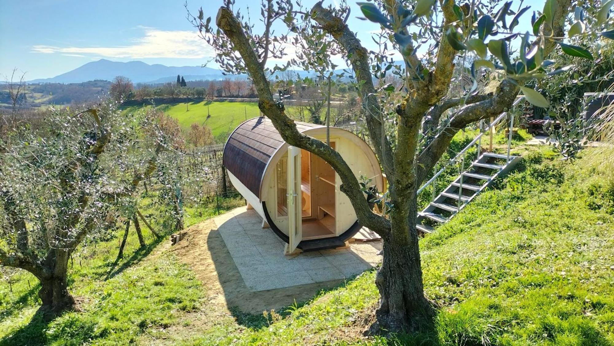 Il Casale Di Sandra Chiusi Exterior foto