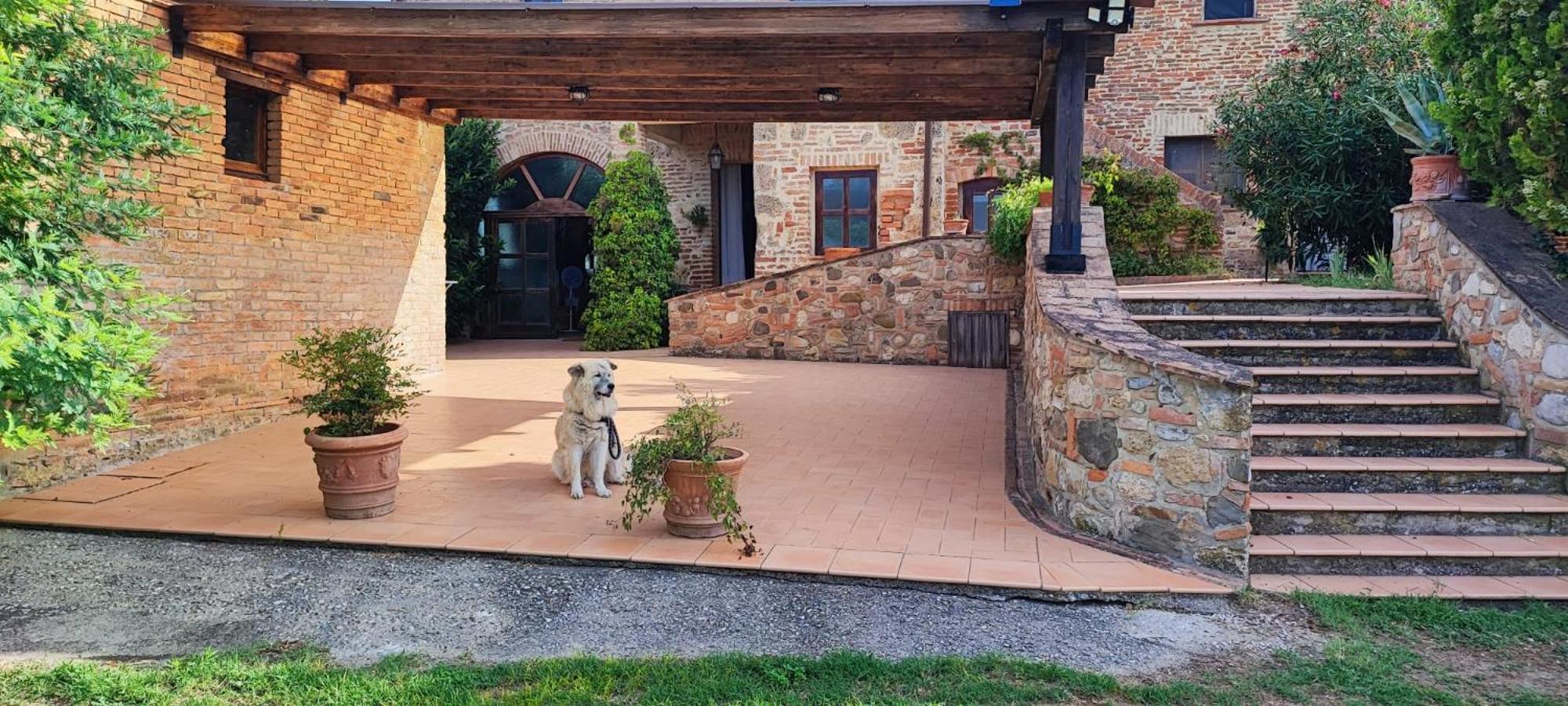 Il Casale Di Sandra Chiusi Exterior foto